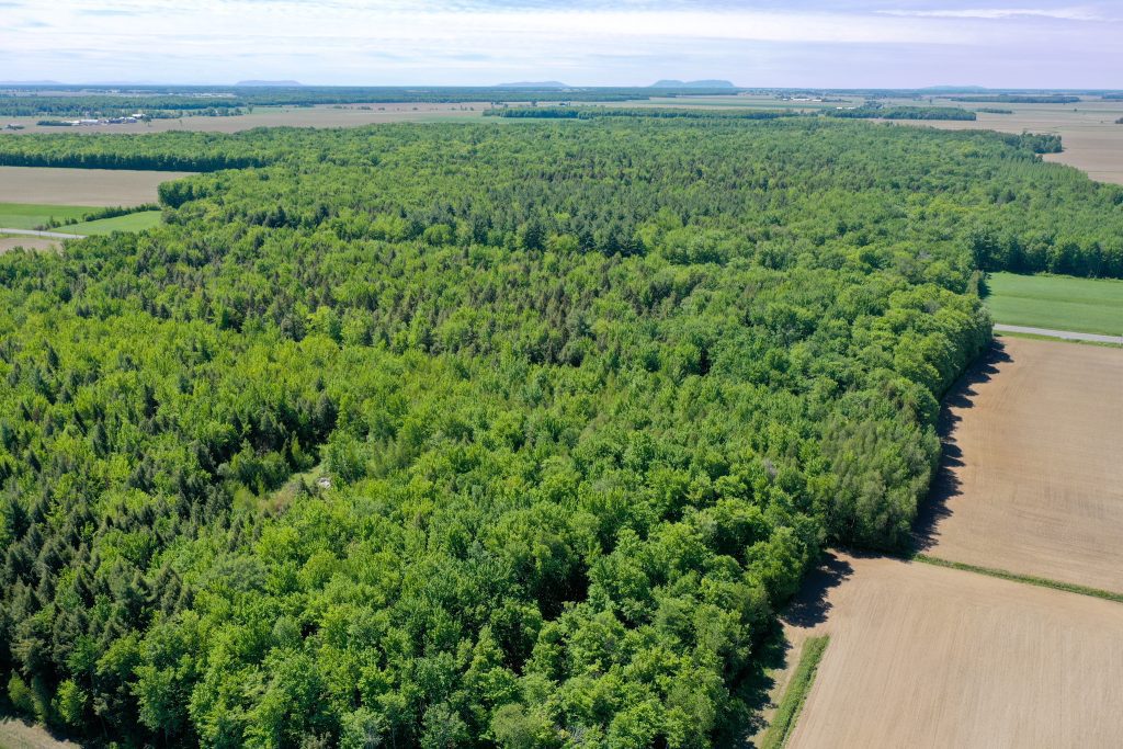 Les membres du Conseil de la MRC de Pierre-De Saurel veulent augmenter le couvert forestier régional d’au moins 10 %
