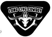 Soirée de danse country avec LLC
