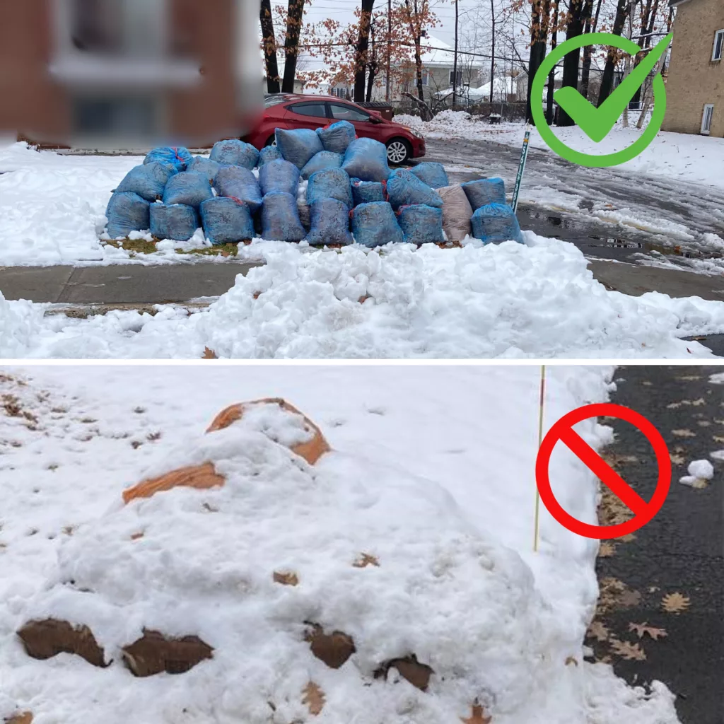 Collecte spéciale de sacs de feuilles – Première semaine de décembre