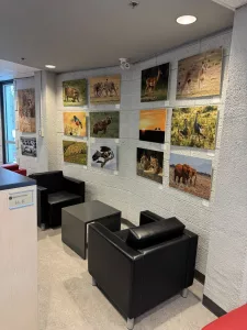 Bibliothèques de Sorel-Tracy